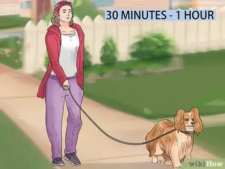 Image titled Give Dogs What They Need Step 10