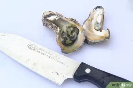 Image titled Fry Oysters Step 11