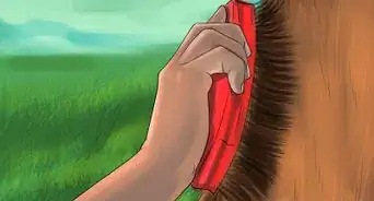 Keep a Horse Clean on a Budget