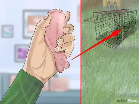 Image titled Catch Weasels Step 4