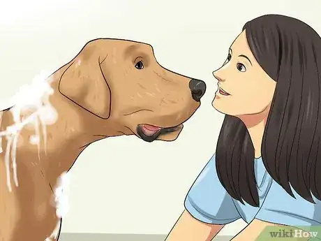 Image titled Bathe a Great Dane Step 14