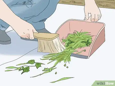 Image titled Keep Your Rabbit Healthy Step 13