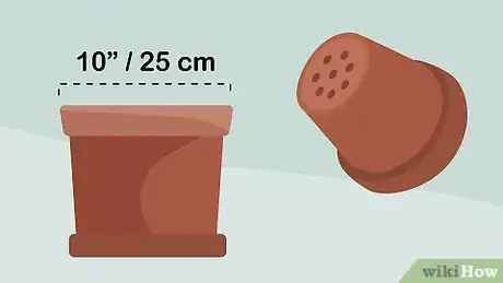 Image titled Plant Oxalis Step 1