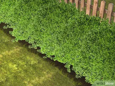 Image titled Attract Orioles Step 6