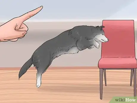 Image titled Keep Your Dog Comfortable Indoors Step 9