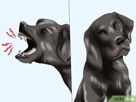 Image titled Know if Your Senior Dog Is Healthy Enough to Travel Step 3