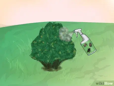 Image titled Get Rid of Downy Mildew in Your Plants Step 7