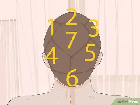 Image titled Section Hair Step 1