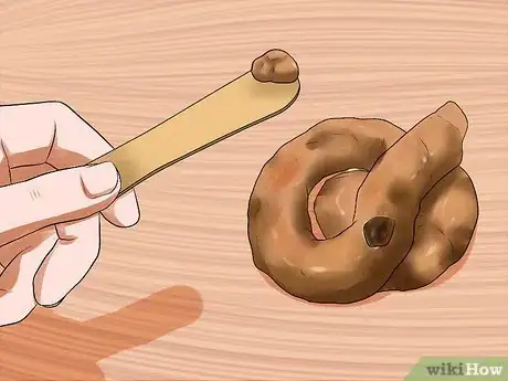 Image titled Treat Ascarids in Dogs Step 5