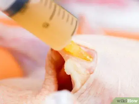 Image titled Inject a Whole Chicken Step 8