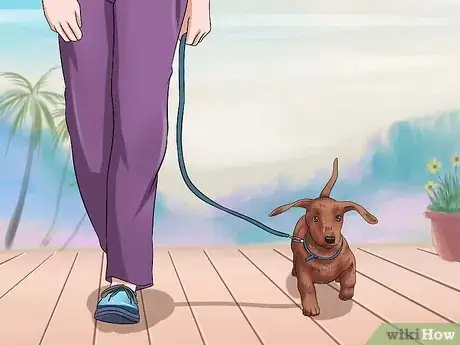 Image titled Love Your Puppy Step 5