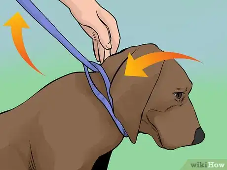 Image titled Catch a Runaway Dog Step 9
