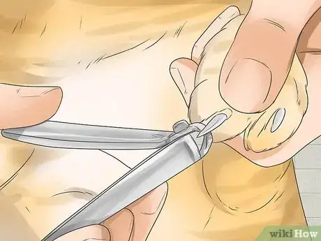 Image titled Help Your Cat Enjoy Having a Bath Step 2