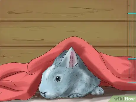 Image titled Choose a Rabbit Cage Step 8