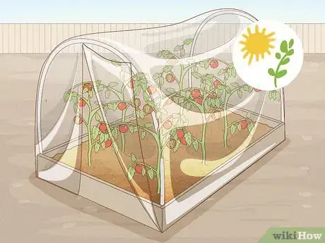 Image titled Grow Food in Winter Step 9