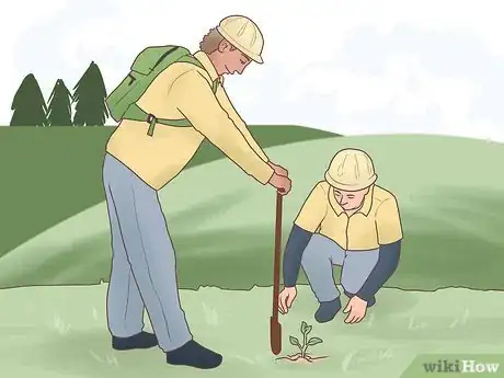 Image titled Become a Forester Step 10