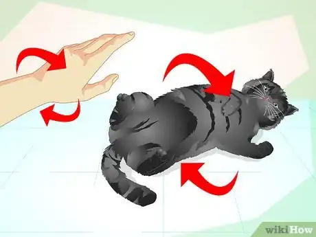 Image titled Train an Old Stubborn Cat to Do Tricks Step 9