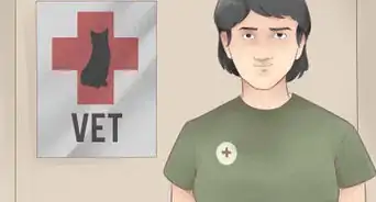 Choose Shampoo and Conditioner for Your Cat