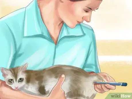 Image titled Prevent Heatstroke in Cats Step 11