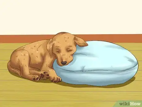 Image titled Love Your Puppy Step 3