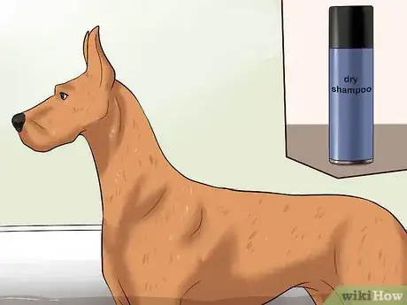 Image titled Bathe a Great Dane Step 11
