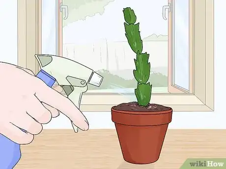Image titled Plant a Christmas Cactus Step 22