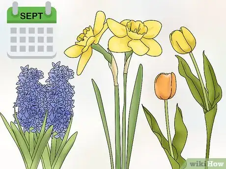 Image titled Make a Bulb Garden Step 9