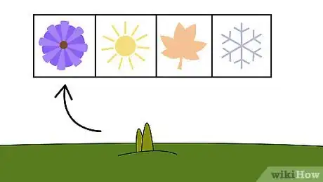 Image titled Plant Daffodils Step 9