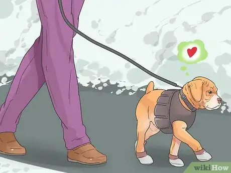 Image titled Help Your Dog Move in the Snow Step 10
