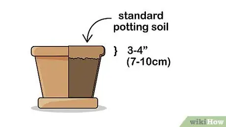 Image titled Grow Dracaena Marginata Step 3