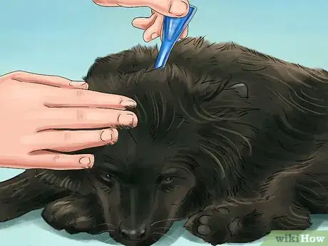 Image titled Find a Mobile Veterinary Service Step 10