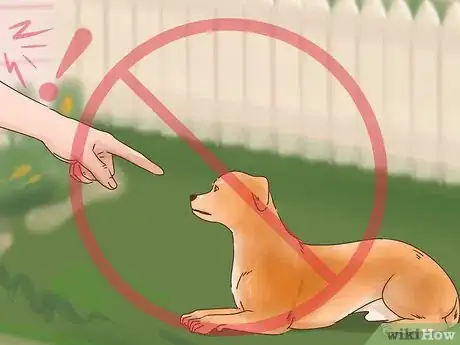 Image titled Know if Your Older Dog Suffers from Separation Anxiety Step 14