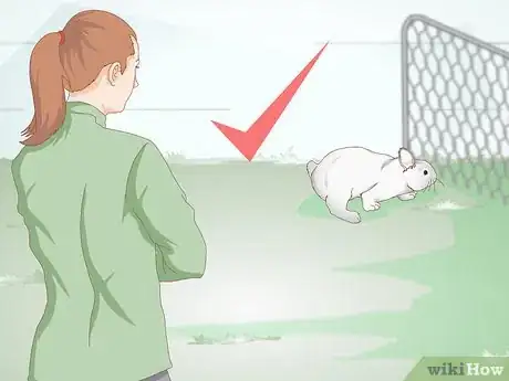 Image titled Spoil Your Pet Rabbit Step 12