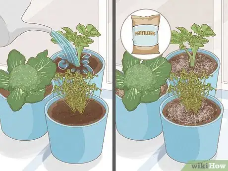 Image titled Grow Food in Winter Step 7