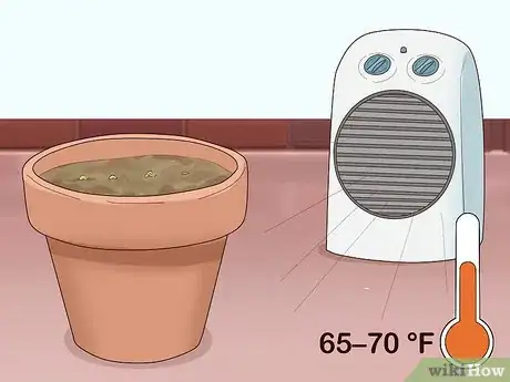 Image titled Grow Lettuce Indoors Step 7