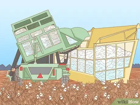 Image titled Harvest Cotton Step 17