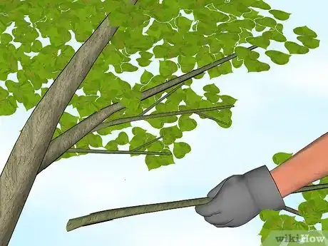 Image titled Plant Redbud Trees Step 10