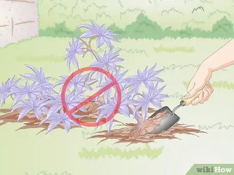 Image titled Dog Proof a Yard Step 6