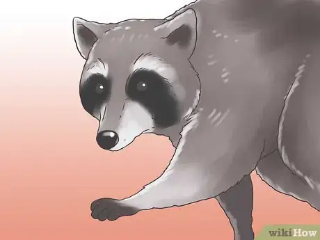 Image titled Raise Chickens for Eggs Step 6