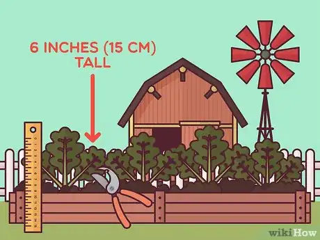 Image titled Harvest Arugula Step 1