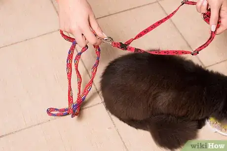 Image titled Care for Long Haired Cats Step 8