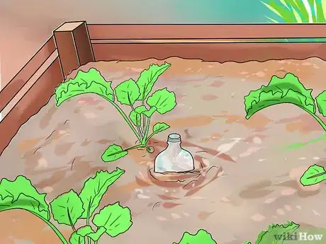 Image titled Water Plants While You're Away Step 19