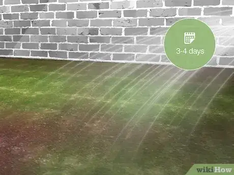 Image titled Get Rid of Bumble Bee Nests in the Ground Step 2