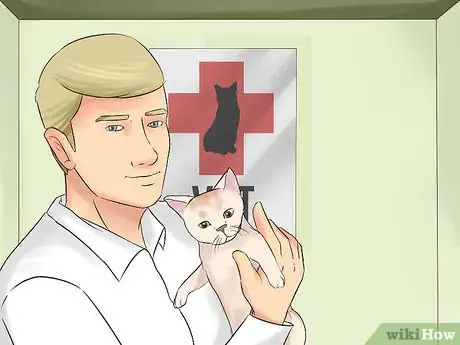 Image titled Get Your Cat to Know and Love You Step 8