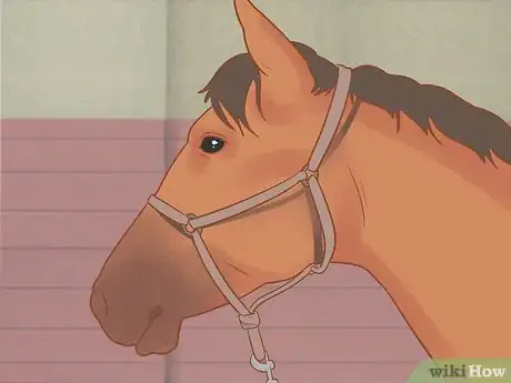 Image titled Tack Up Using English Tack Step 1