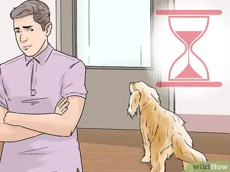 Image titled Enhance Your Dog's Recall Step 13