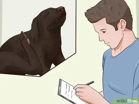Image titled Diagnose and Treat Your Dog's Itchy Skin Problems Step 5