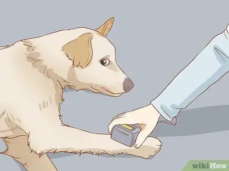 Image titled Use a Pager Collar Step 2