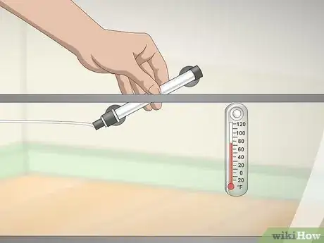 Image titled Build a Freshwater Predator Fish Aquarium Step 4