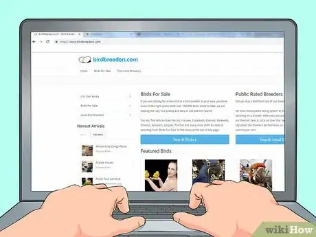 Image titled Choose a Lory or Lorikeet Step 10